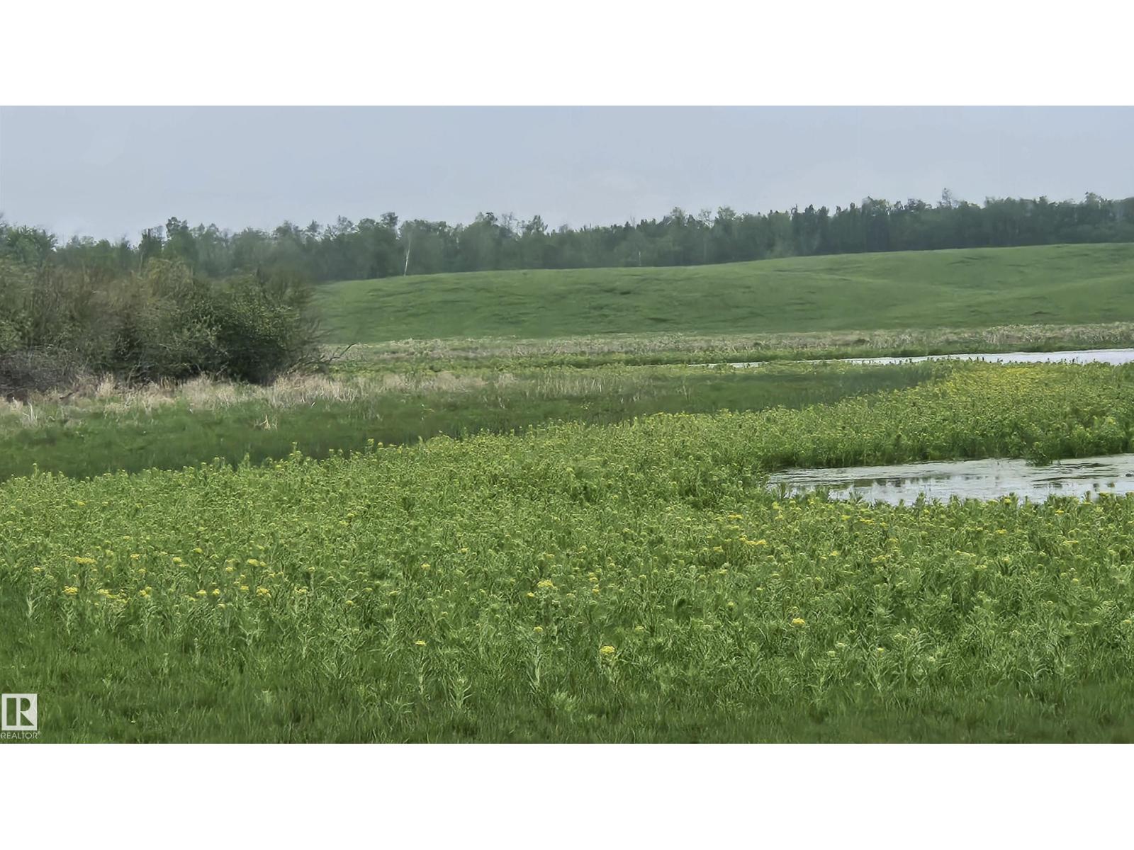 11 Twin Lakes Dr, Rural Lamont County, Alberta  T0B 2R0 - Photo 4 - E4477853