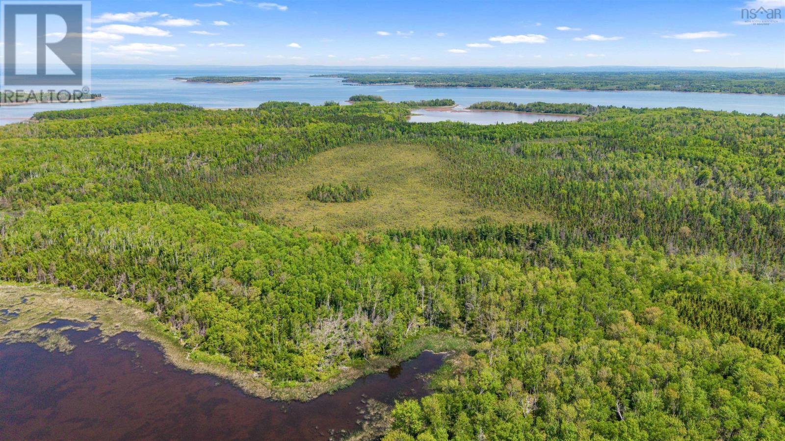 Lot 62 Acres Caribou Island Rd, Caribou Island, Nova Scotia  B0K 1H0 - Photo 16 - 202601238