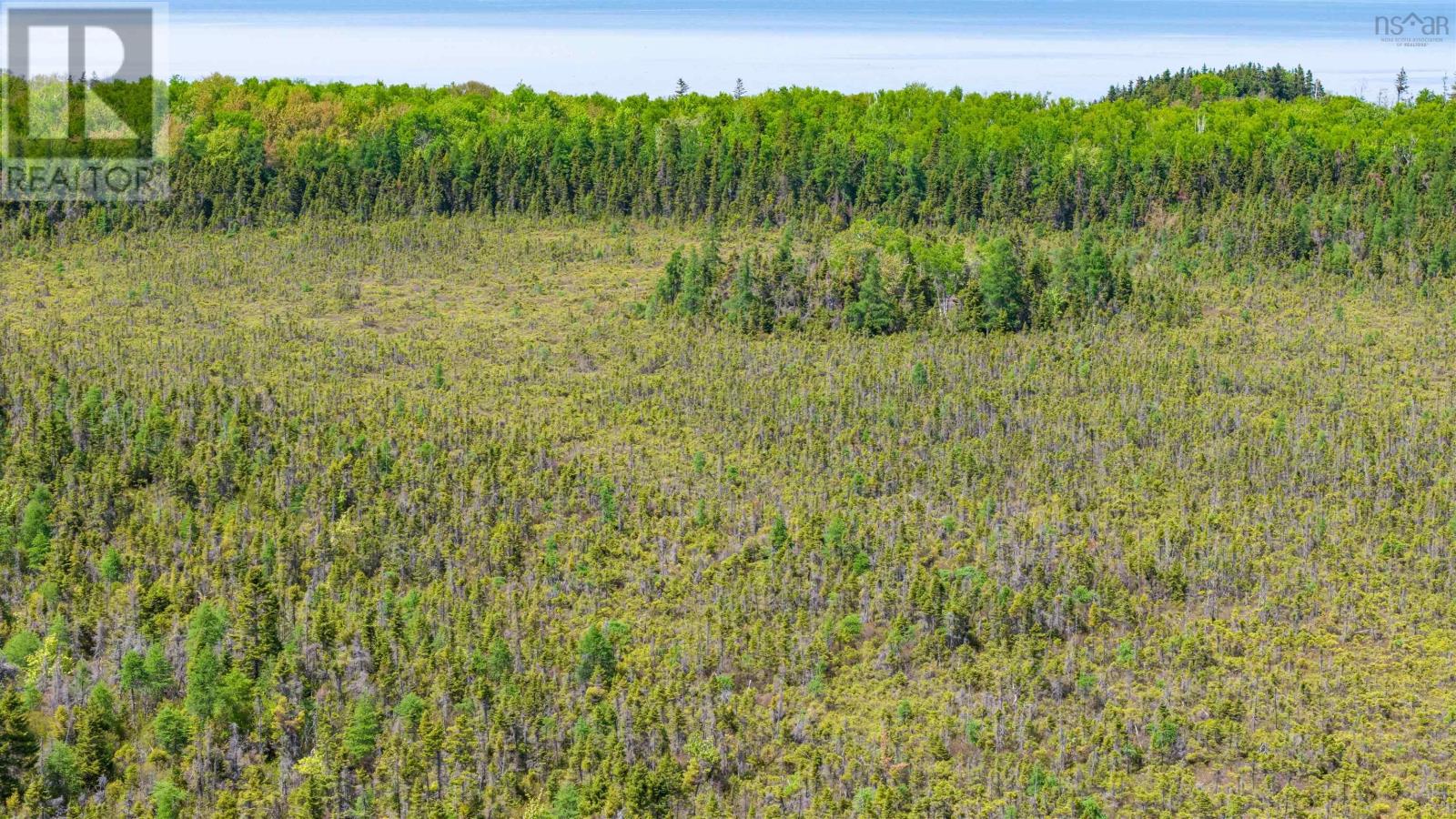 Lot 62 Acres Caribou Island Rd, Caribou Island, Nova Scotia  B0K 1H0 - Photo 20 - 202601238