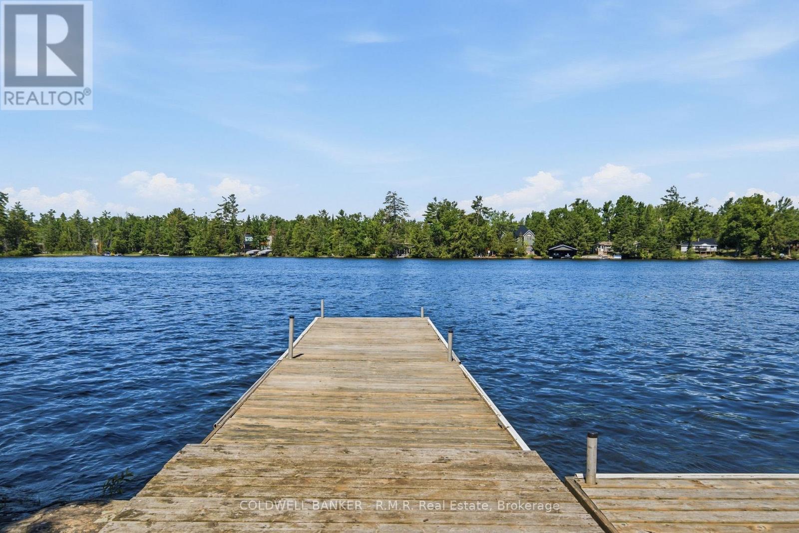 207 Hall Drive, Trent Lakes, Ontario  K0L 1J0 - Photo 3 - X13452456