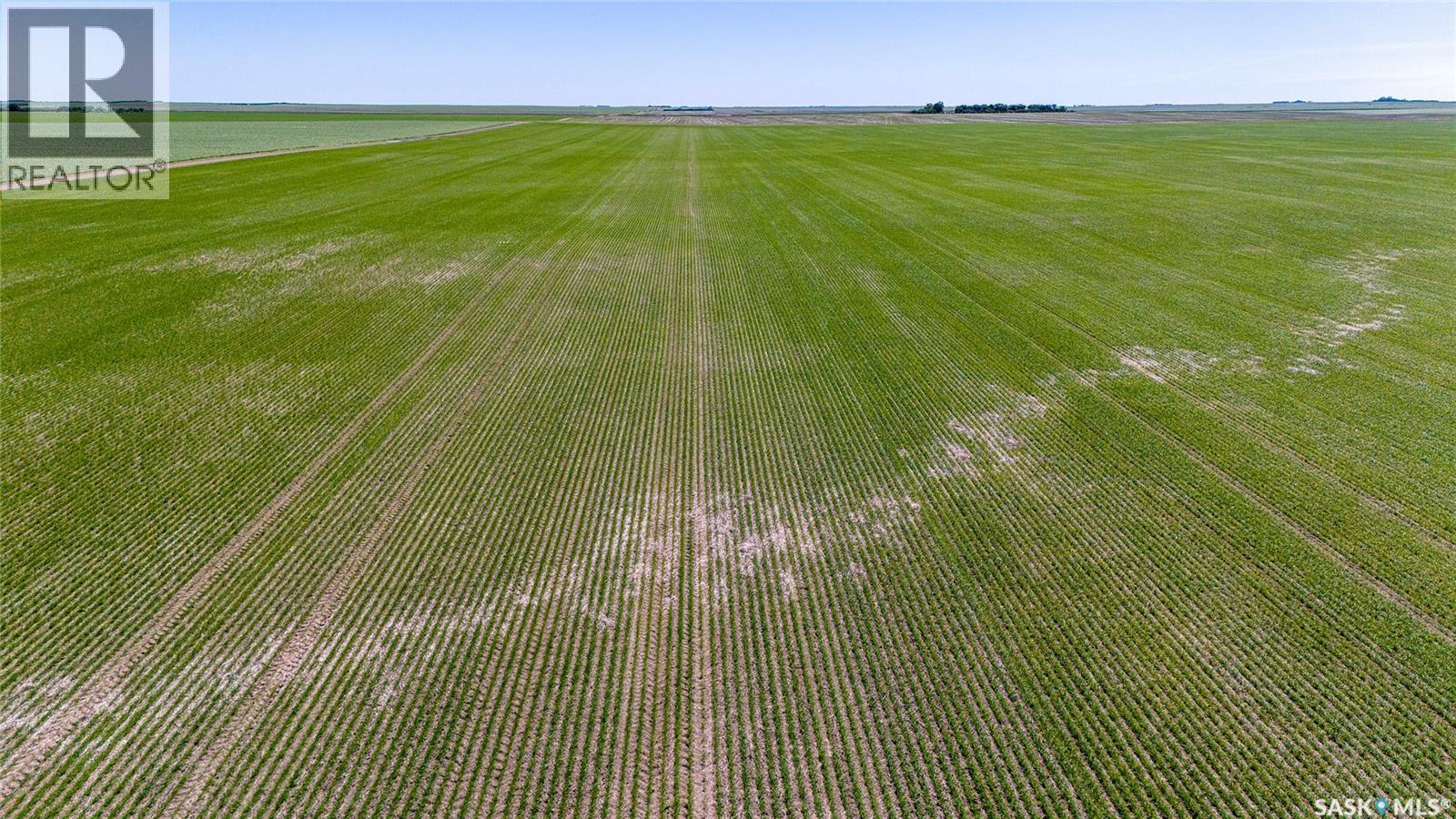 5 Quarters Grainland Near Palmer, Sk (Solberg), Sutton Rm No. 103, Saskatchewan  S0H 3J0 - Photo 6 - SK036517
