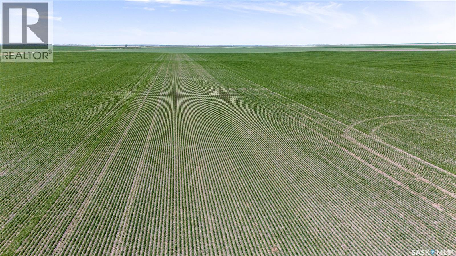 5 Quarters Grainland Near Palmer, Sk (Solberg), Sutton Rm No. 103, Saskatchewan  S0H 3J0 - Photo 12 - SK036517