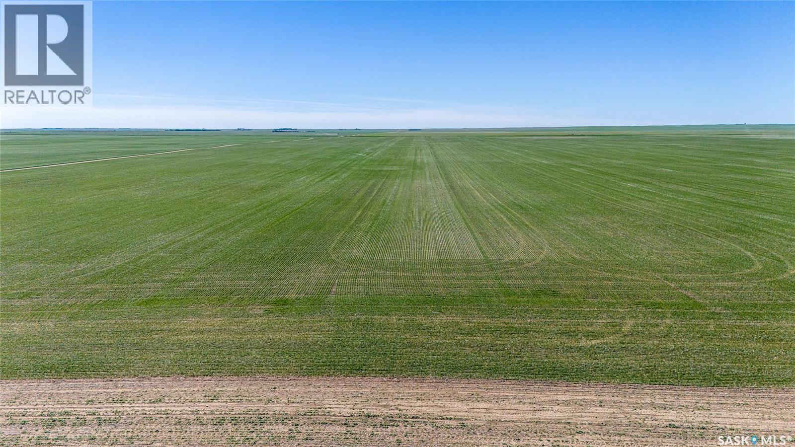 5 Quarters Grainland Near Palmer, Sk (Solberg), Sutton Rm No. 103, Saskatchewan  S0H 3J0 - Photo 9 - SK036517