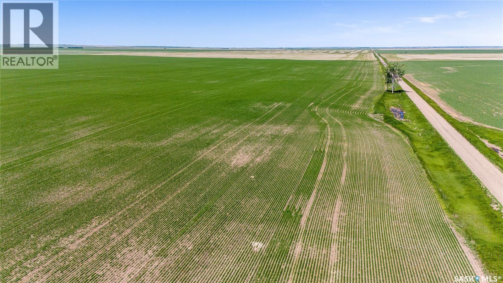 5 Quarters Grainland Near Palmer, Sk (Solberg), Sutton Rm No. 103, Saskatchewan  S0H 3J0 - Photo 3 - SK036517