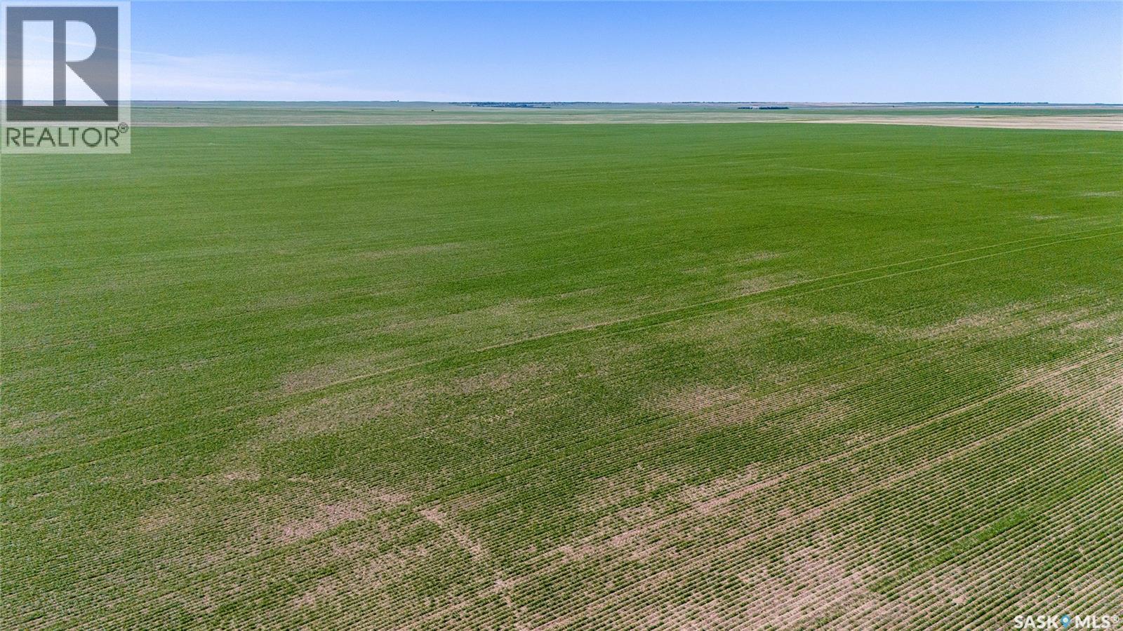 5 Quarters Grainland Near Palmer, Sk (Solberg), Sutton Rm No. 103, Saskatchewan  S0H 3J0 - Photo 4 - SK036517
