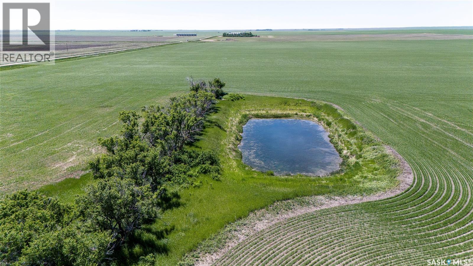 5 Quarters Grainland Near Palmer, Sk (Solberg), Sutton Rm No. 103, Saskatchewan  S0H 3J0 - Photo 13 - SK036517