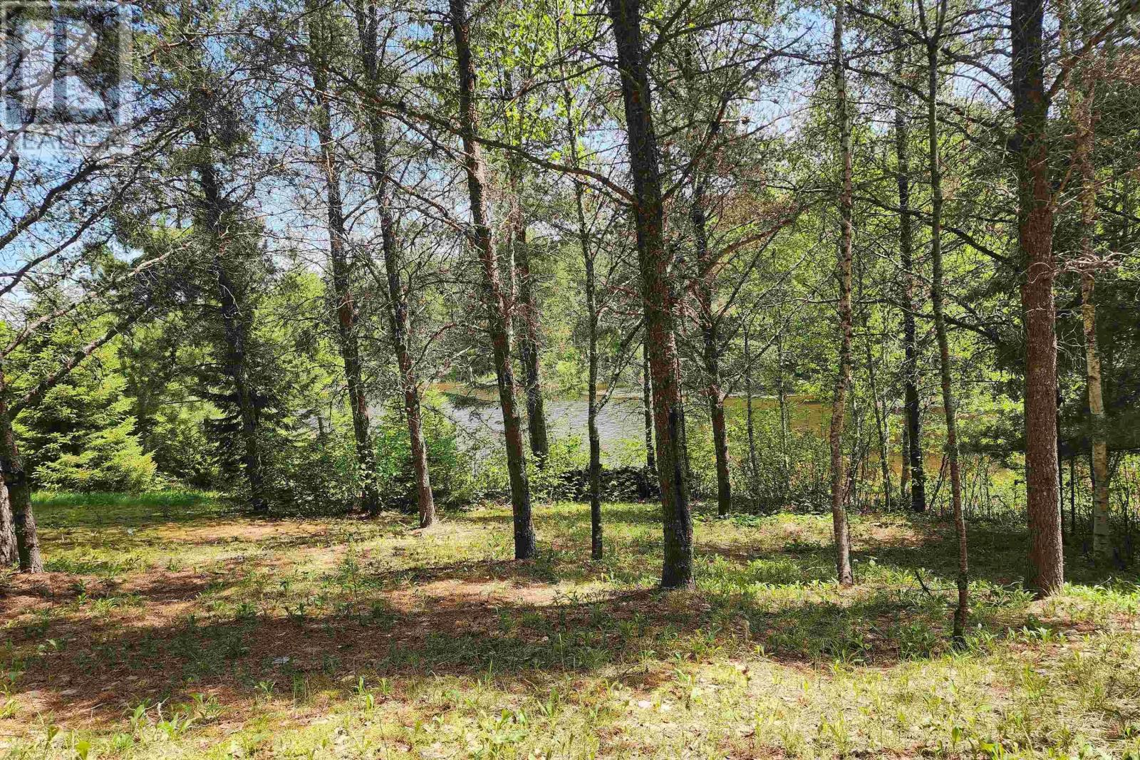 342 Reid Settlement Road, Salt Springs, Nova Scotia  B0M 1X0 - Photo 10 - 202614569