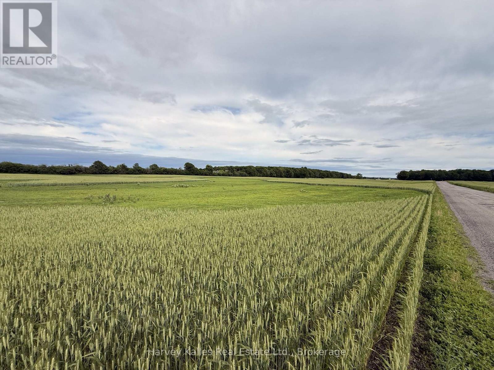 243 Morgan Road, Prince Edward County, Ontario  K0K 1G0 - Photo 3 - X13453288