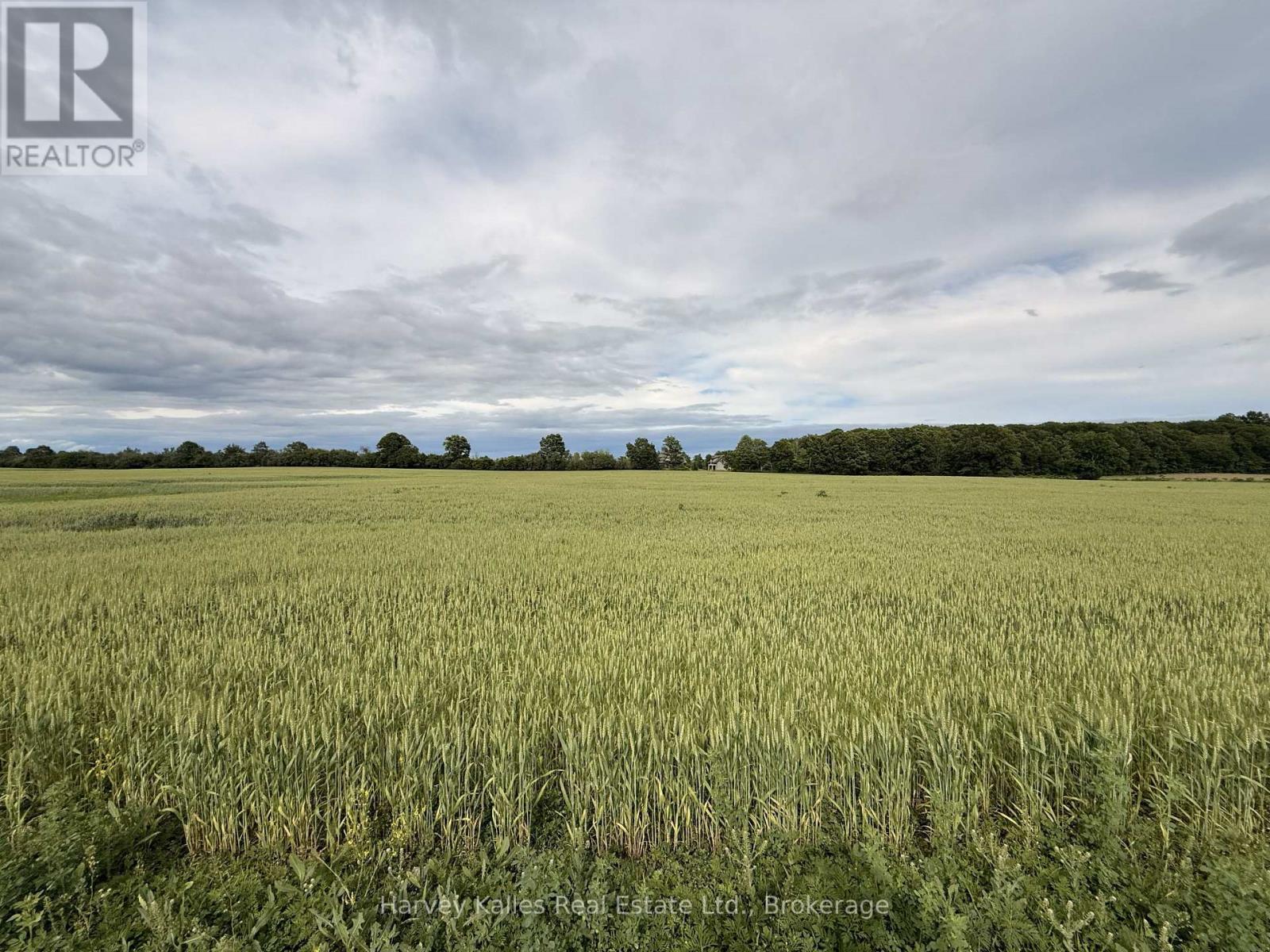 243 Morgan Road, Prince Edward County, Ontario  K0K 1G0 - Photo 6 - X13453288