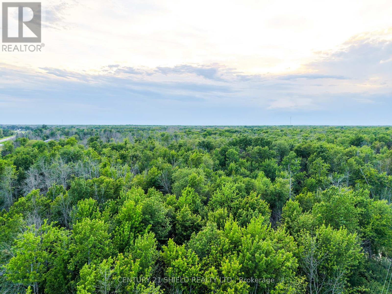 Pt Lt 10 Upper Canada Road, South Dundas, Ontario K0C 1X0 - Photo 6 - X13453222