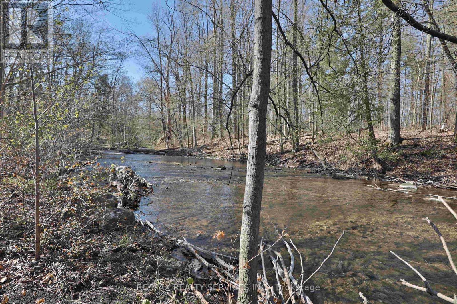 20 Side Road, Halton Hills, Ontario  L7G 4S4 - Photo 7 - W13233522