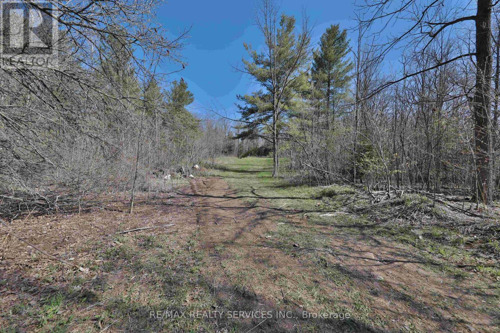 20 Side Road, Halton Hills, Ontario  L7G 4S4 - Photo 14 - W13233522