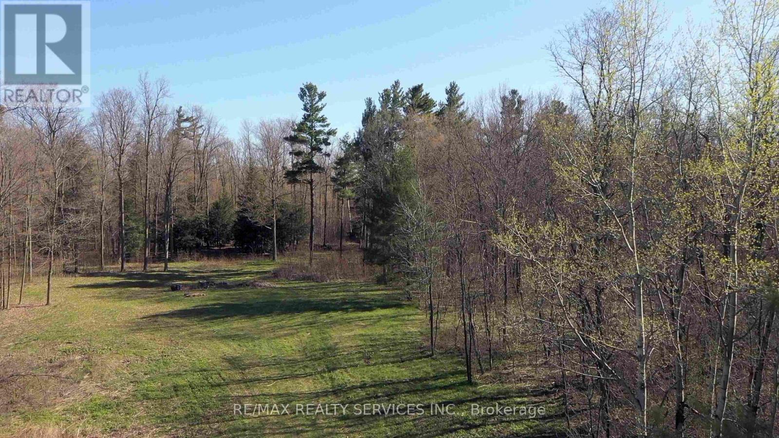 20 Side Road, Halton Hills, Ontario  L7G 4S4 - Photo 4 - W13233522