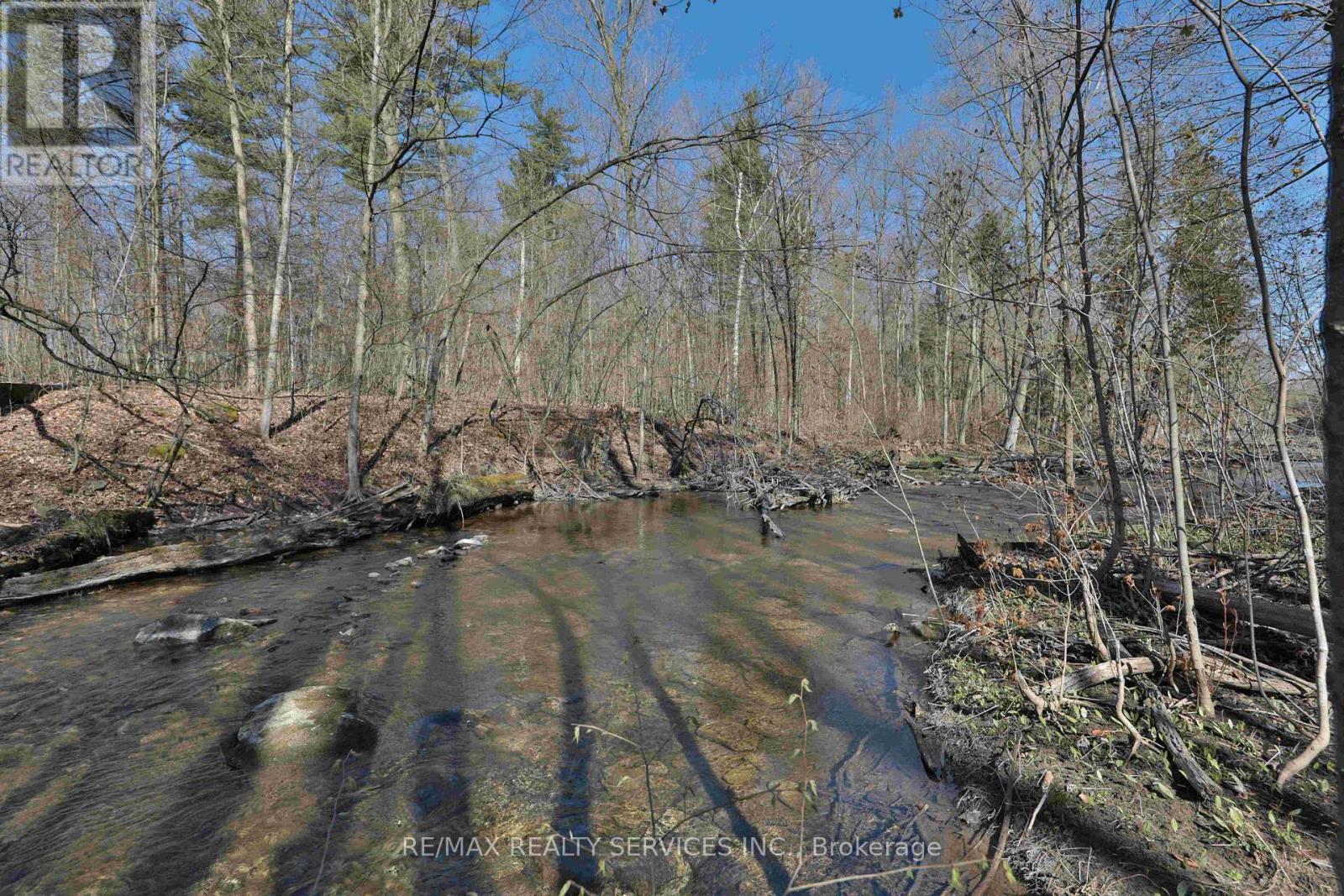 20 Side Road, Halton Hills, Ontario  L7G 4S4 - Photo 9 - W13233522