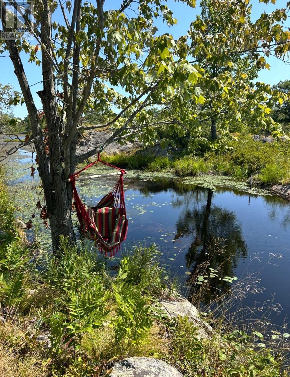Pt Lt 17 Concession 6 Road, Stone Mills, Ontario  K0K 3G0 - Photo 11 - X13453152