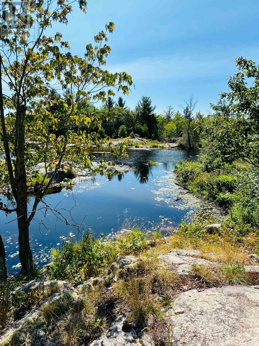 Pt Lt 17 Concession 6 Road, Stone Mills, Ontario  K0K 3G0 - Photo 3 - X13453152