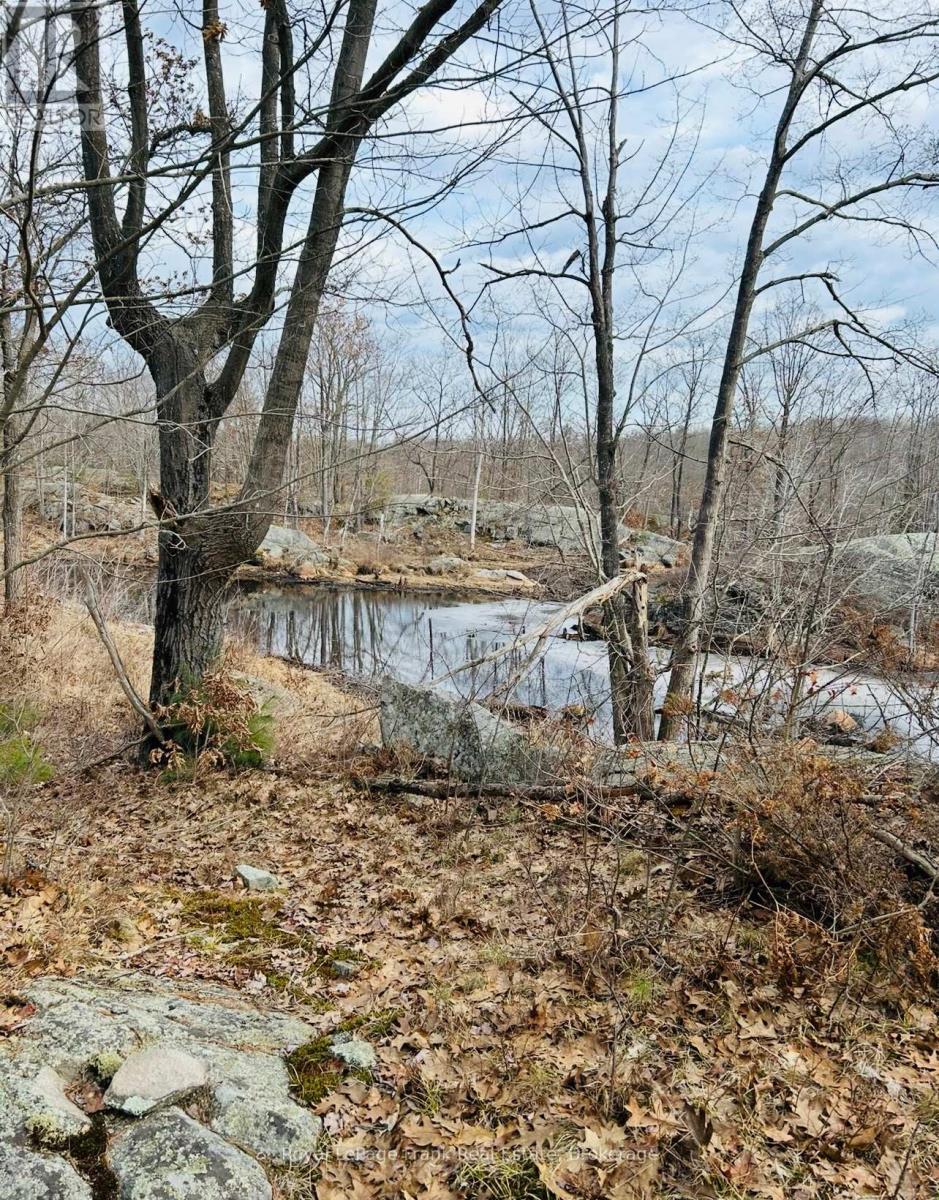 Pt Lt 17 Concession 6 Road, Stone Mills, Ontario  K0K 3G0 - Photo 7 - X13453152