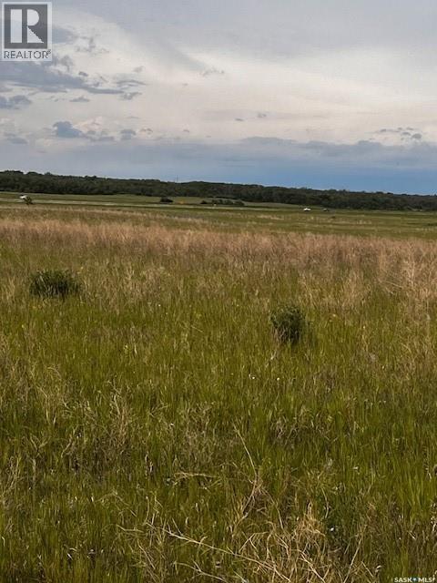 Starling Highway 11 East, Dundurn Rm No. 314, Saskatchewan  S0K 1K0 - Photo 11 - SK029248
