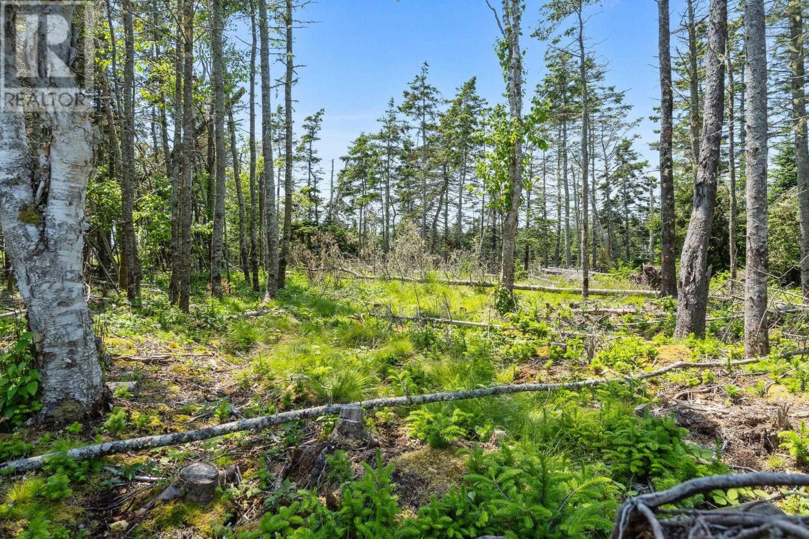 Lot Highway 207, Seaforth, Nova Scotia  B0J 2L0 - Photo 20 - 202601270