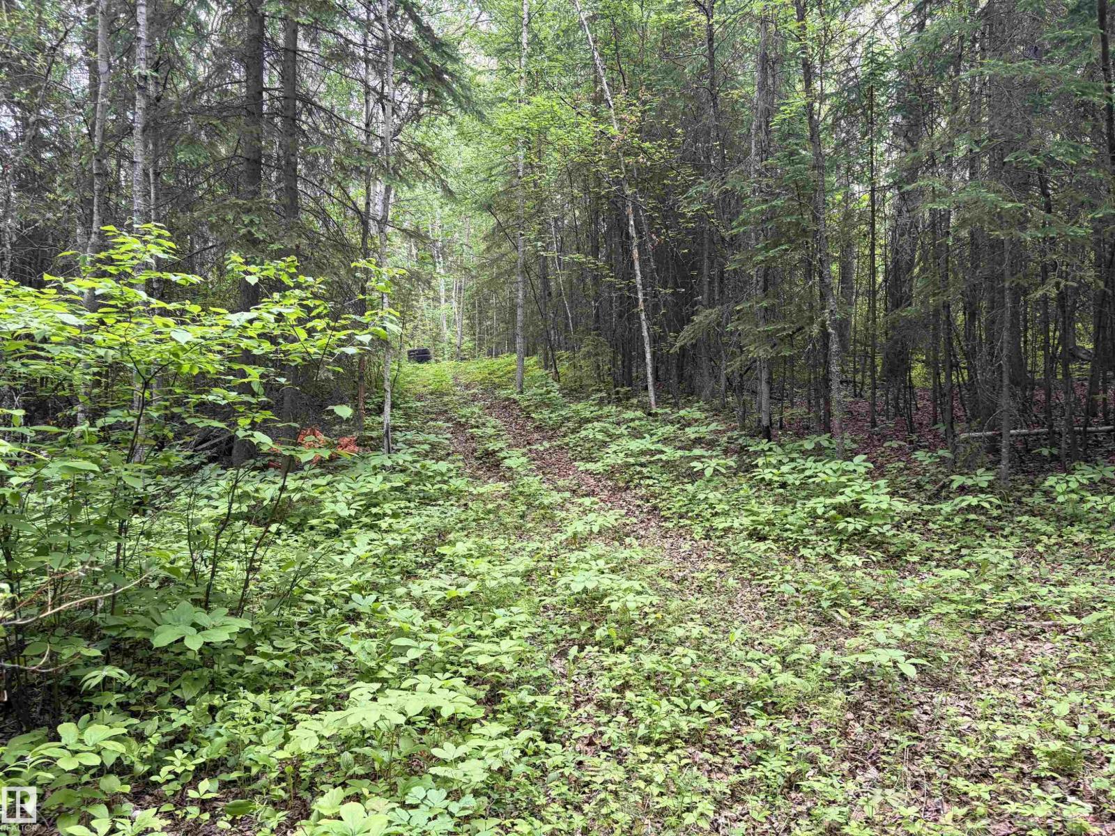 5 Carlson Dr, Rural Woodlands County, Alberta  T0G 1M0 - Photo 52 - E4494009