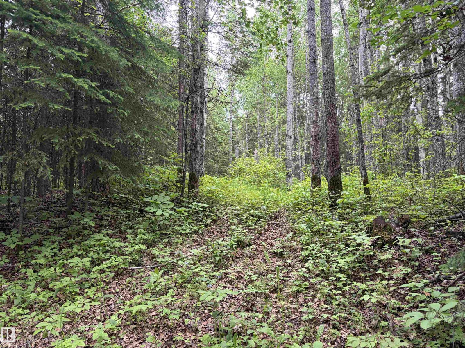 5 Carlson Dr, Rural Woodlands County, Alberta  T0G 1M0 - Photo 53 - E4494009