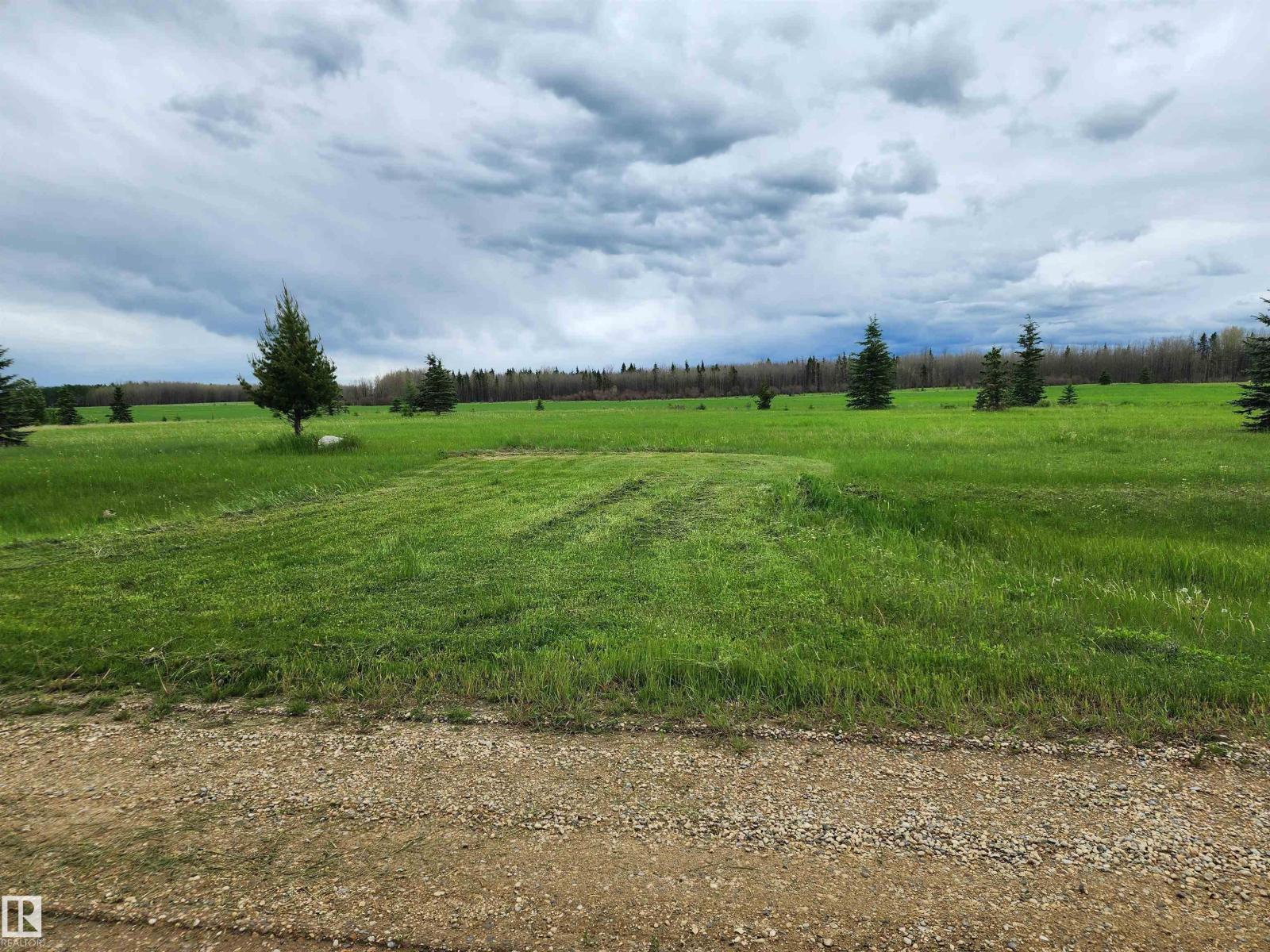 13 465011 Rge Rd 64, Rural Wetaskiwin County, Alberta  T0C 0T0 - Photo 3 - E4494011