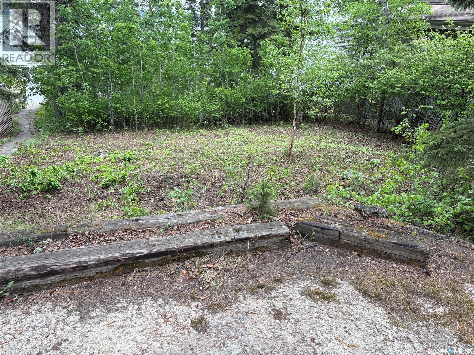 181 Carwin Park Drive, Emma Lake, Saskatchewan  S0J 0N0 - Photo 3 - SK038145