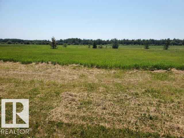 17 465011 Rge Rd 64, Rural Wetaskiwin County, Alberta  T0C 0T0 - Photo 4 - E4494013