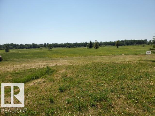 25 465011 Rge Rd 64, Rural Wetaskiwin County, Alberta  T0C 0T0 - Photo 4 - E4494015