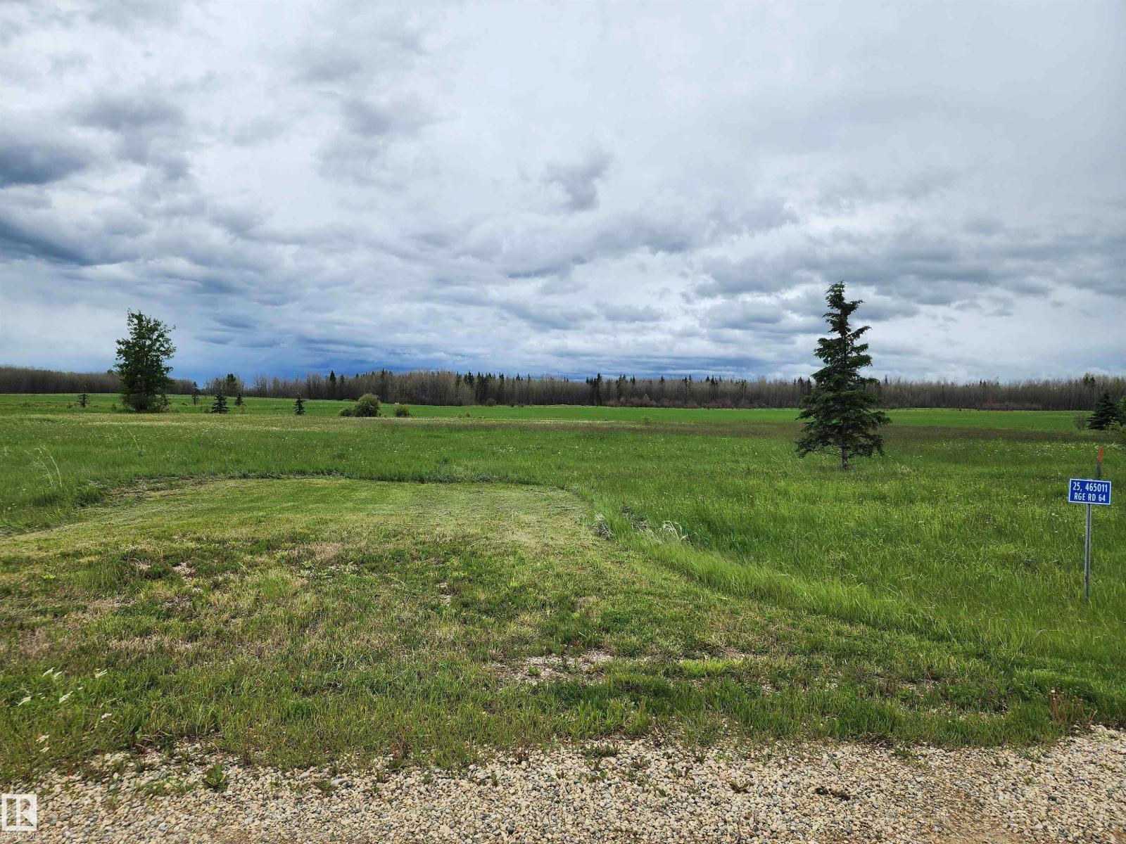 29 465011 Rge Rd 64, Rural Wetaskiwin County, Alberta  T0C 0T0 - Photo 4 - E4494017