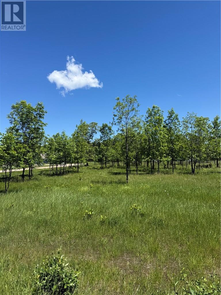 N/a Carter Crescent, Manitoulin Island, Ontario P0P 1J0 - Photo 1 - 2128612