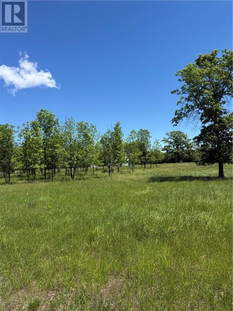 N/a Carter Crescent, Manitoulin Island, Ontario P0P 1J0 - Photo 2 - 2128612