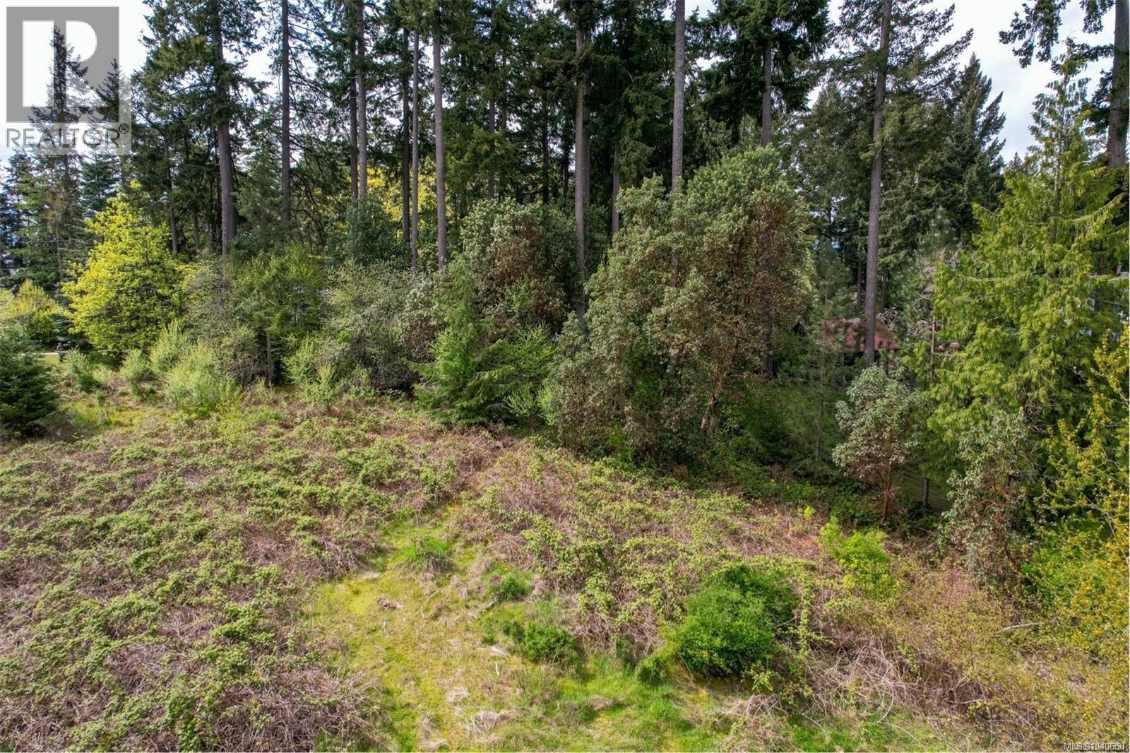 Lot 1 Alma Rd, Duncan, British Columbia  V9L 5M7 - Photo 13 - 1040650