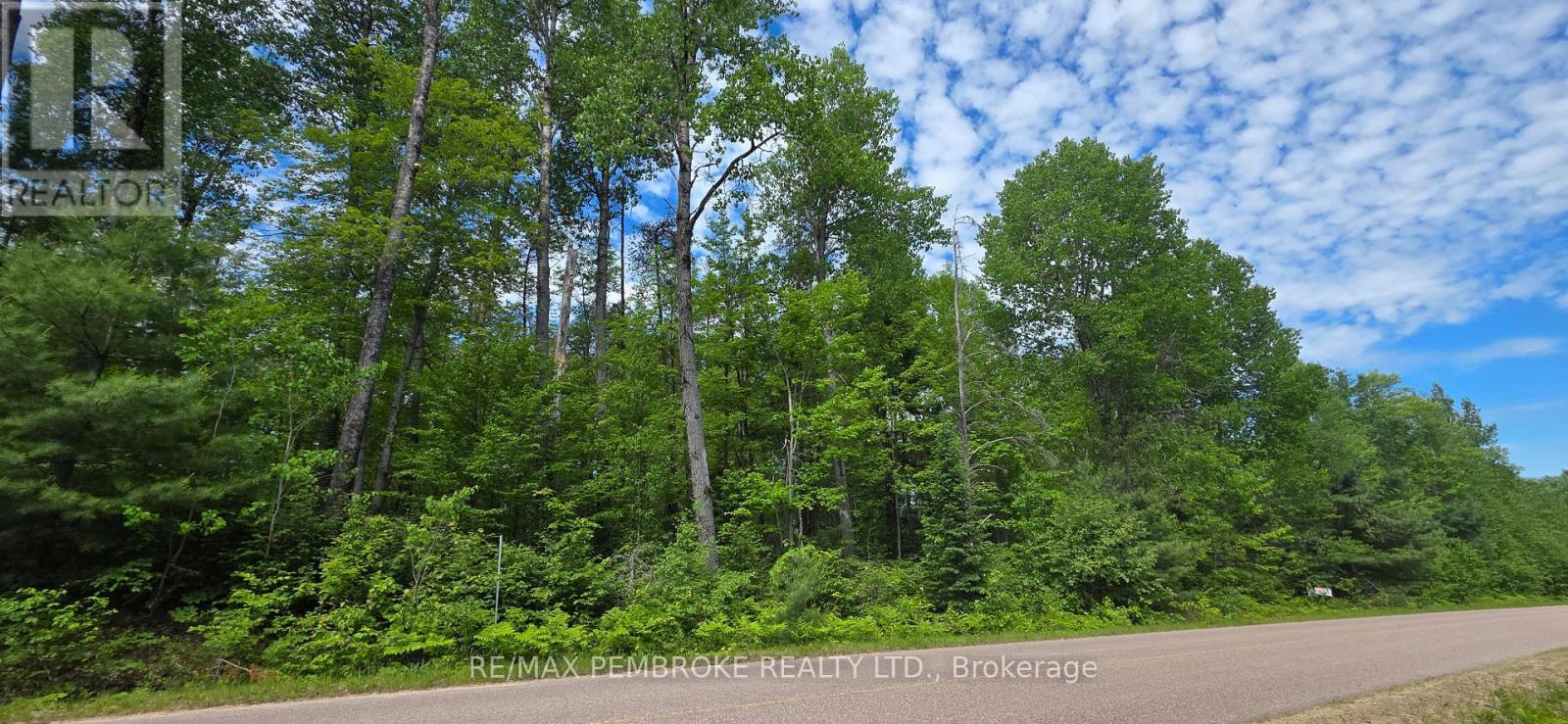 Pt Lt 5 Baggs Road, Laurentian Hills, Ontario K0J 1J0 - Photo 4 - X13453902