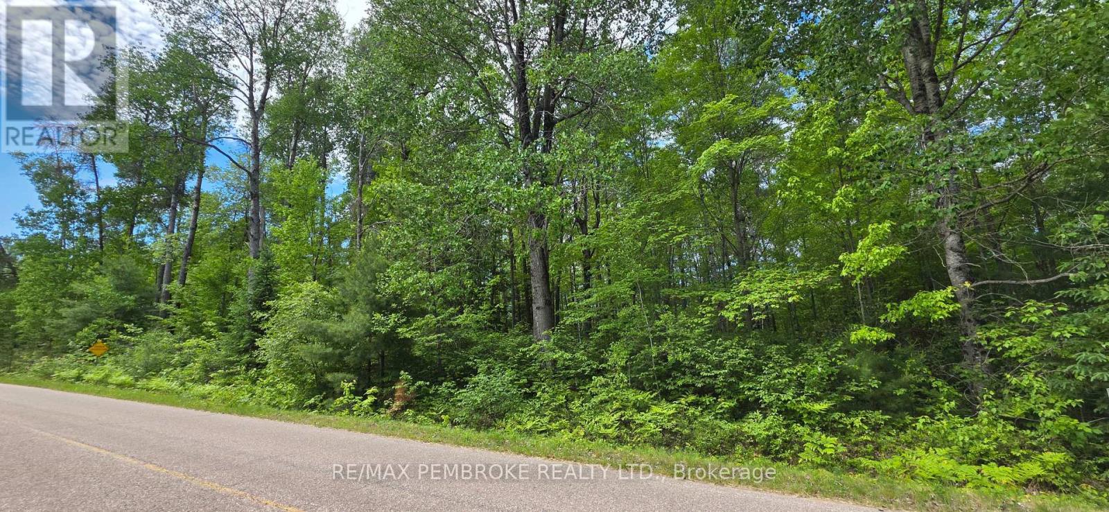 Pt Lt 5 Baggs Road, Laurentian Hills, Ontario  K0J 1J0 - Photo 6 - X13453902