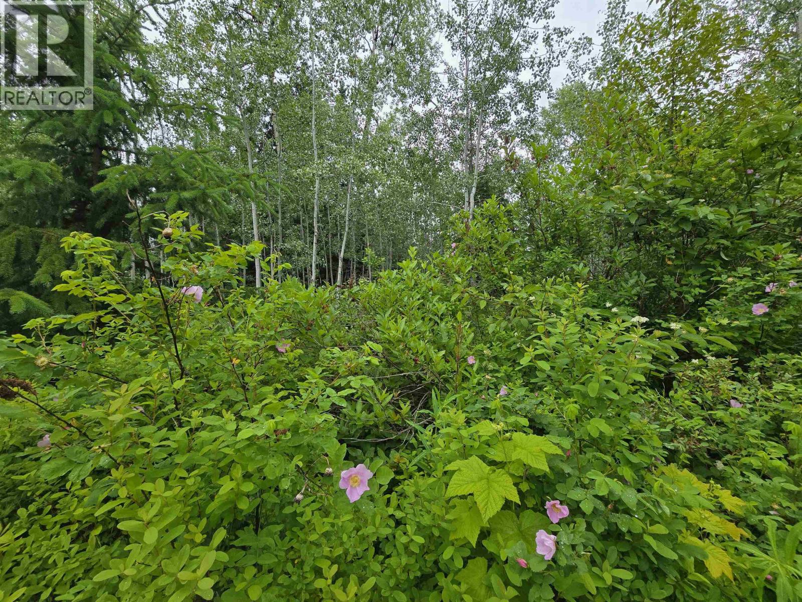 Lot 13 Curtis Drive, Rosswood Nass, British Columbia  V8G 0G8 - Photo 10 - R3136501