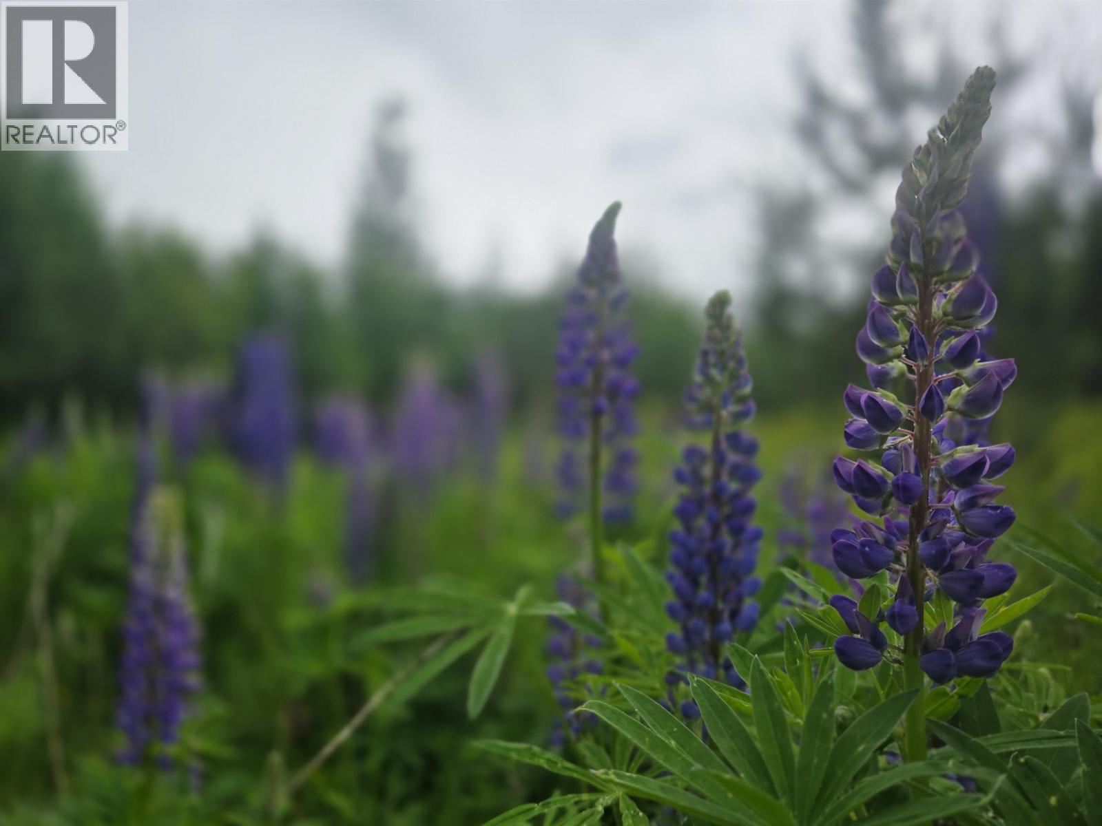 Lot 13 Curtis Drive, Rosswood Nass, British Columbia  V8G 0G8 - Photo 7 - R3136501