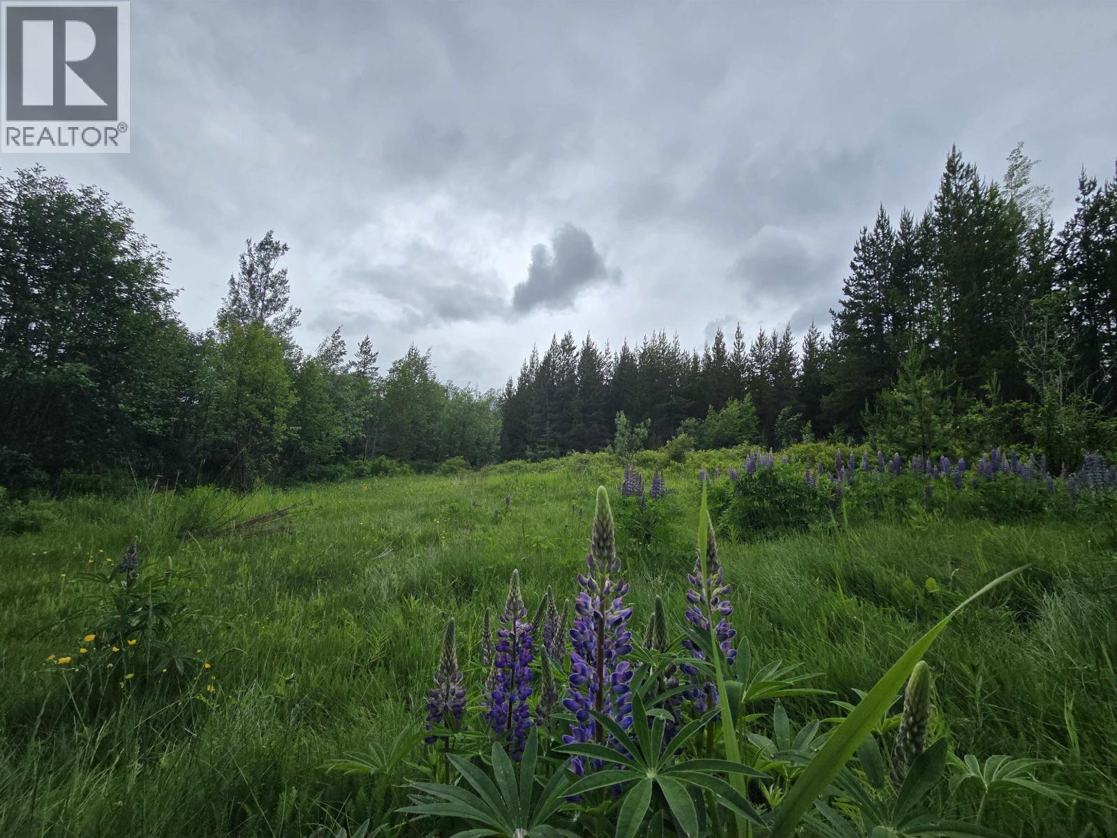 Lot 13 Curtis Drive, Rosswood Nass, British Columbia  V8G 0G8 - Photo 6 - R3136501