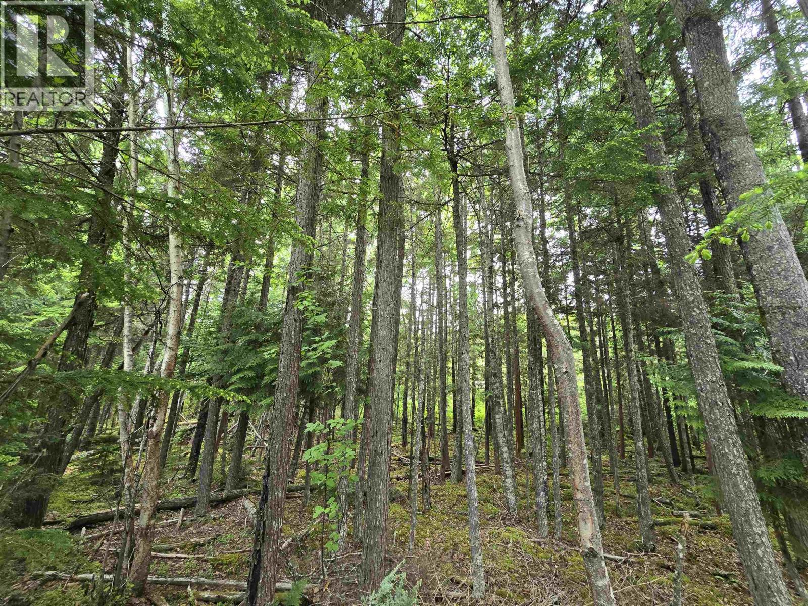 Lot 13 Curtis Drive, Rosswood Nass, British Columbia  V8G 0G8 - Photo 9 - R3136501