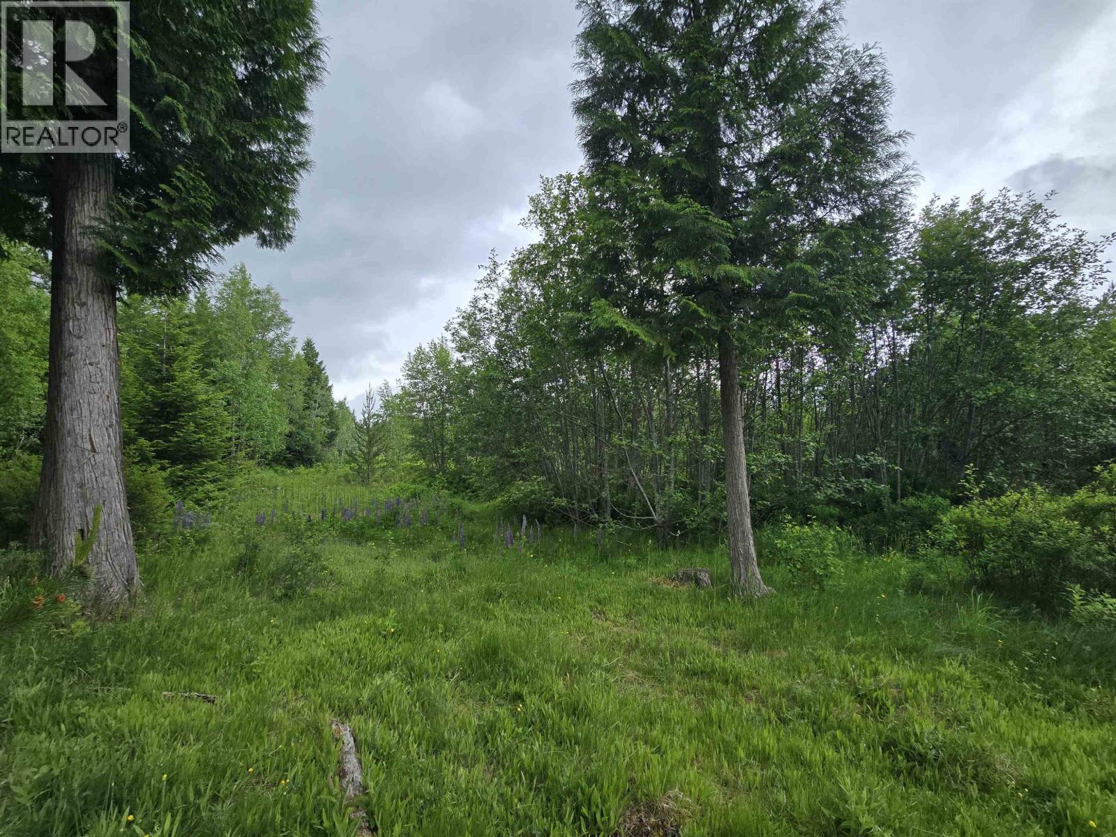 Lot 13 Curtis Drive, Rosswood Nass, British Columbia  V8G 0G8 - Photo 4 - R3136501