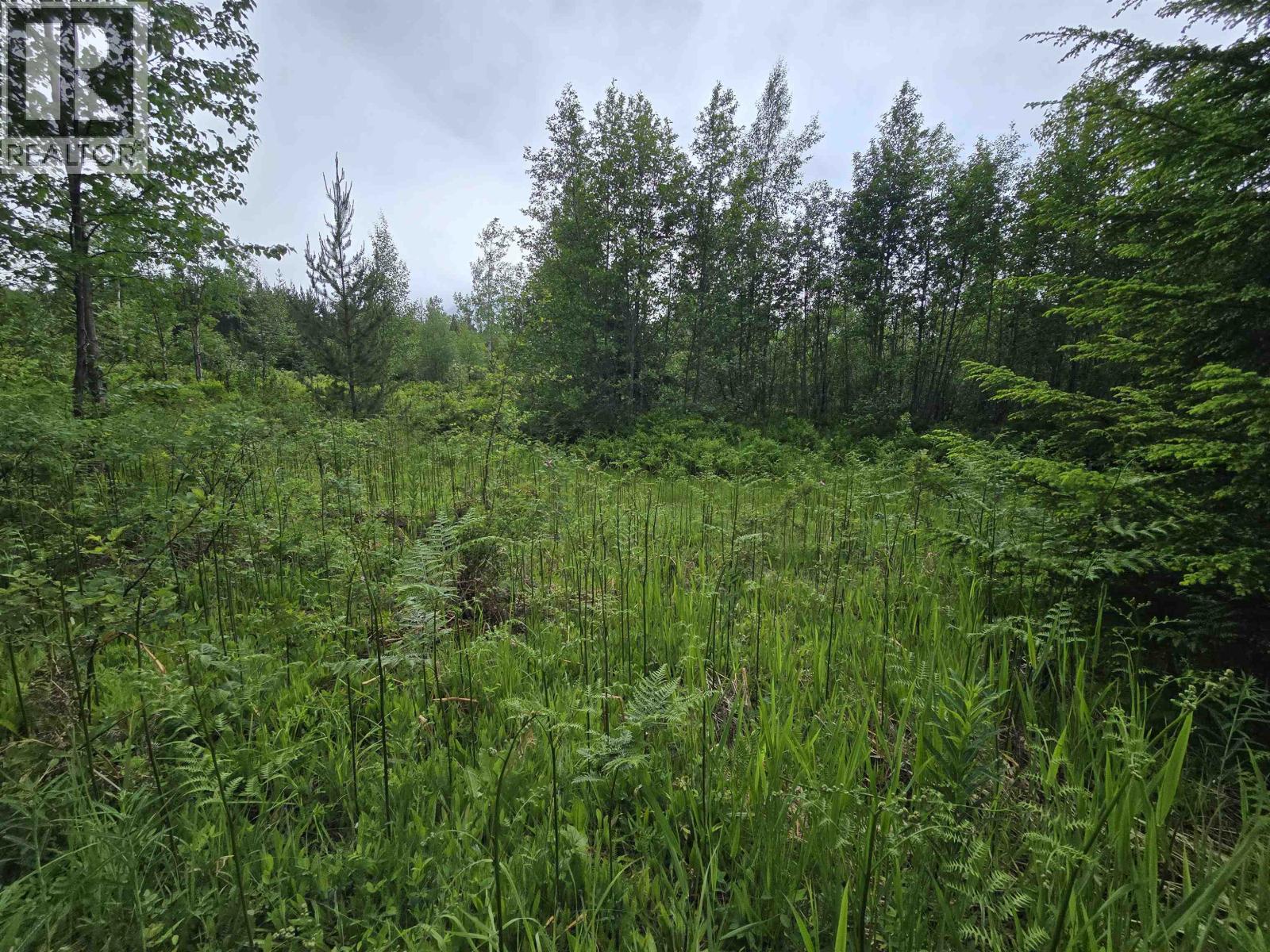 Lot 13 Curtis Drive, Rosswood Nass, British Columbia  V8G 0G8 - Photo 5 - R3136501
