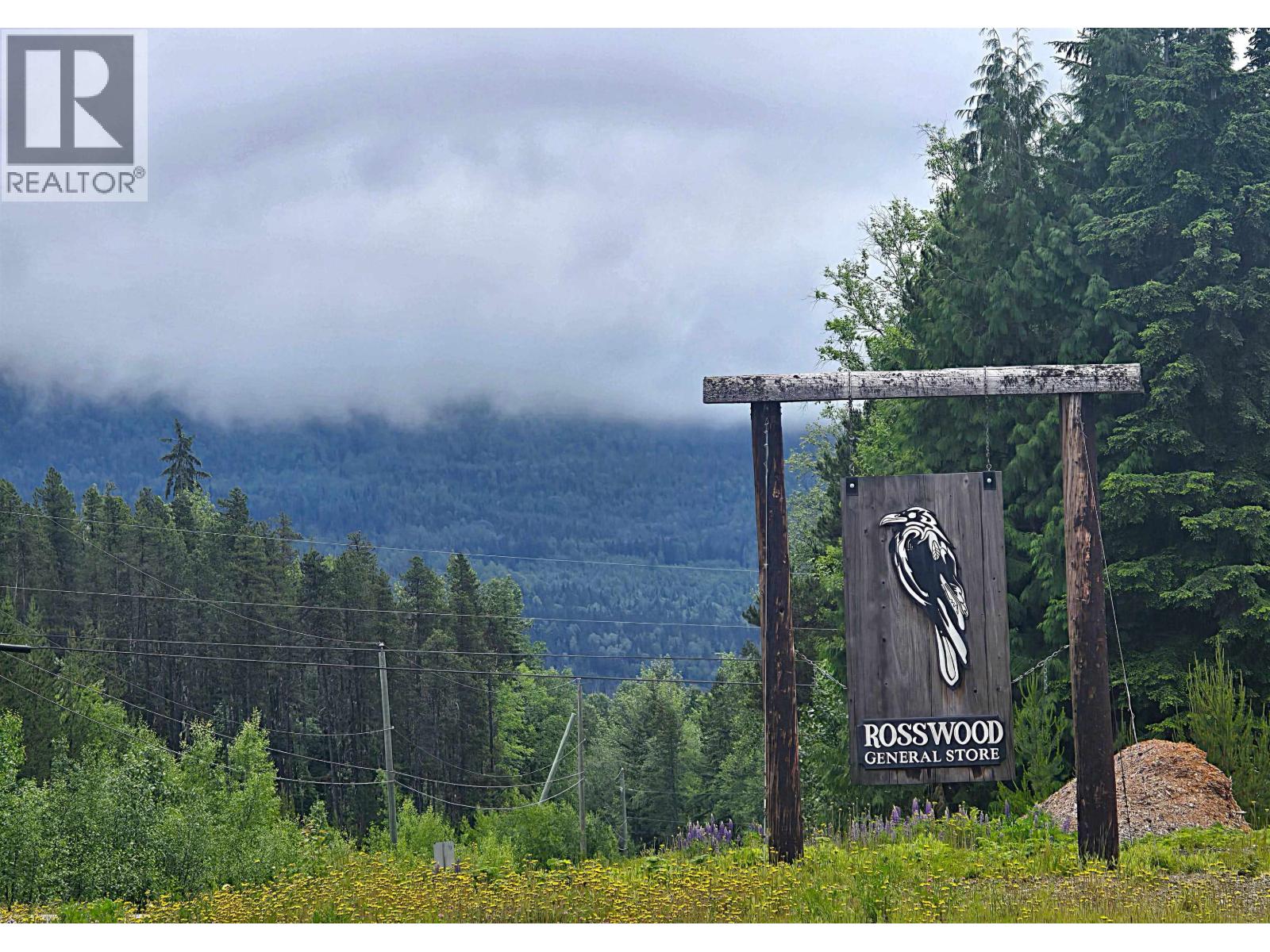Lot 13 Curtis Drive, Rosswood Nass, British Columbia  V8G 0G8 - Photo 2 - R3136501