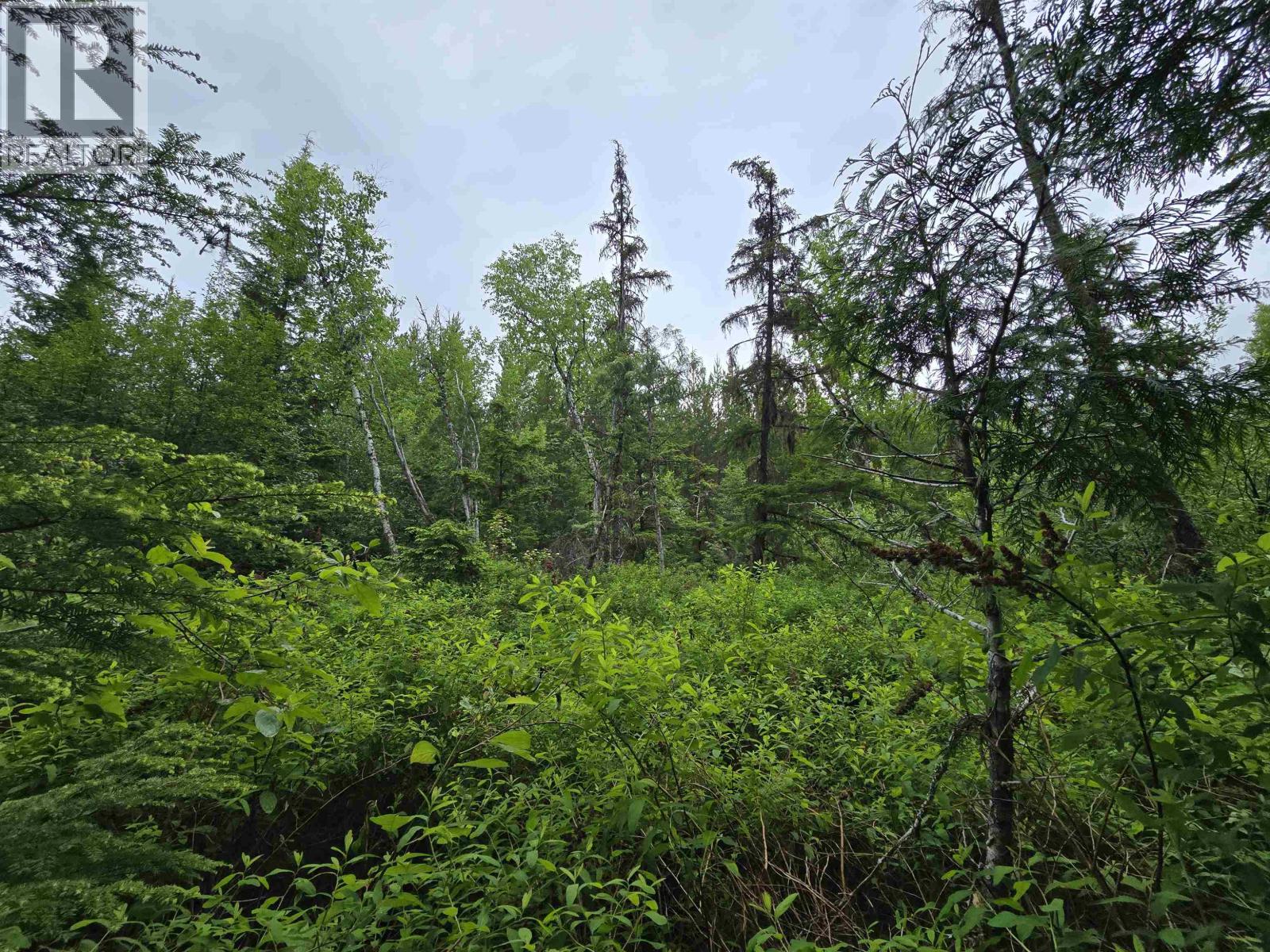 Lot 13 Curtis Drive, Rosswood Nass, British Columbia  V8G 0G8 - Photo 8 - R3136501