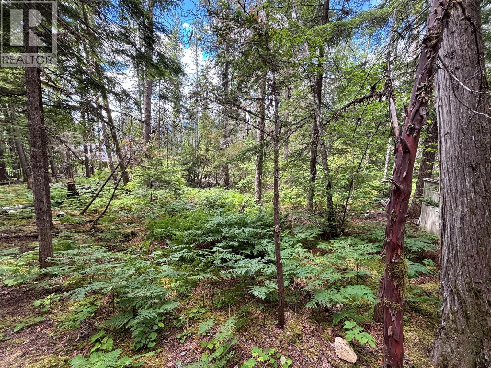 100 Dolly Varden Road Lot# 12, Mabel Lake, British Columbia  V0E 1V5 - Photo 19 - 10391615