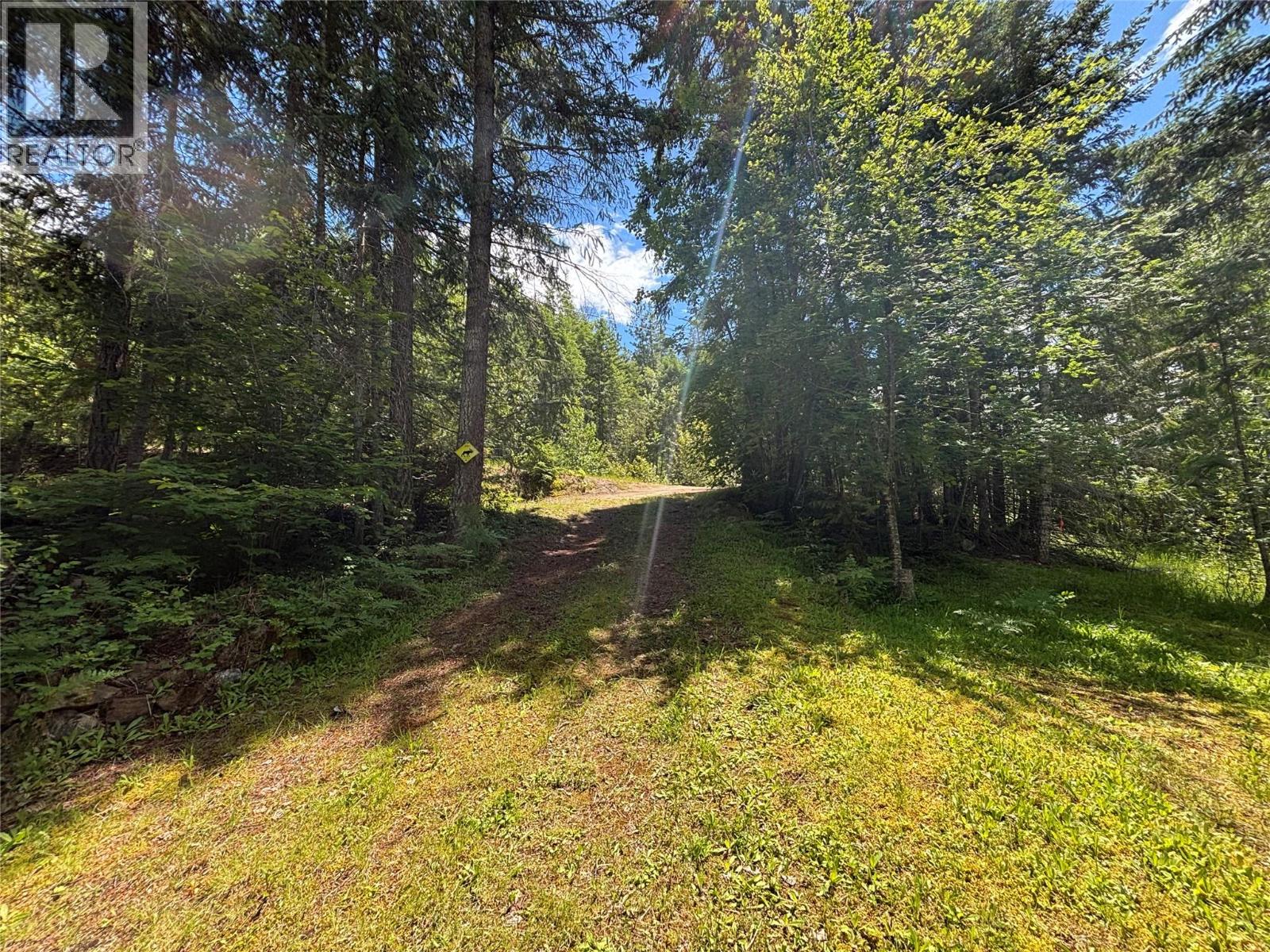 100 Dolly Varden Road Lot# 12, Mabel Lake, British Columbia  V0E 1V5 - Photo 4 - 10391615