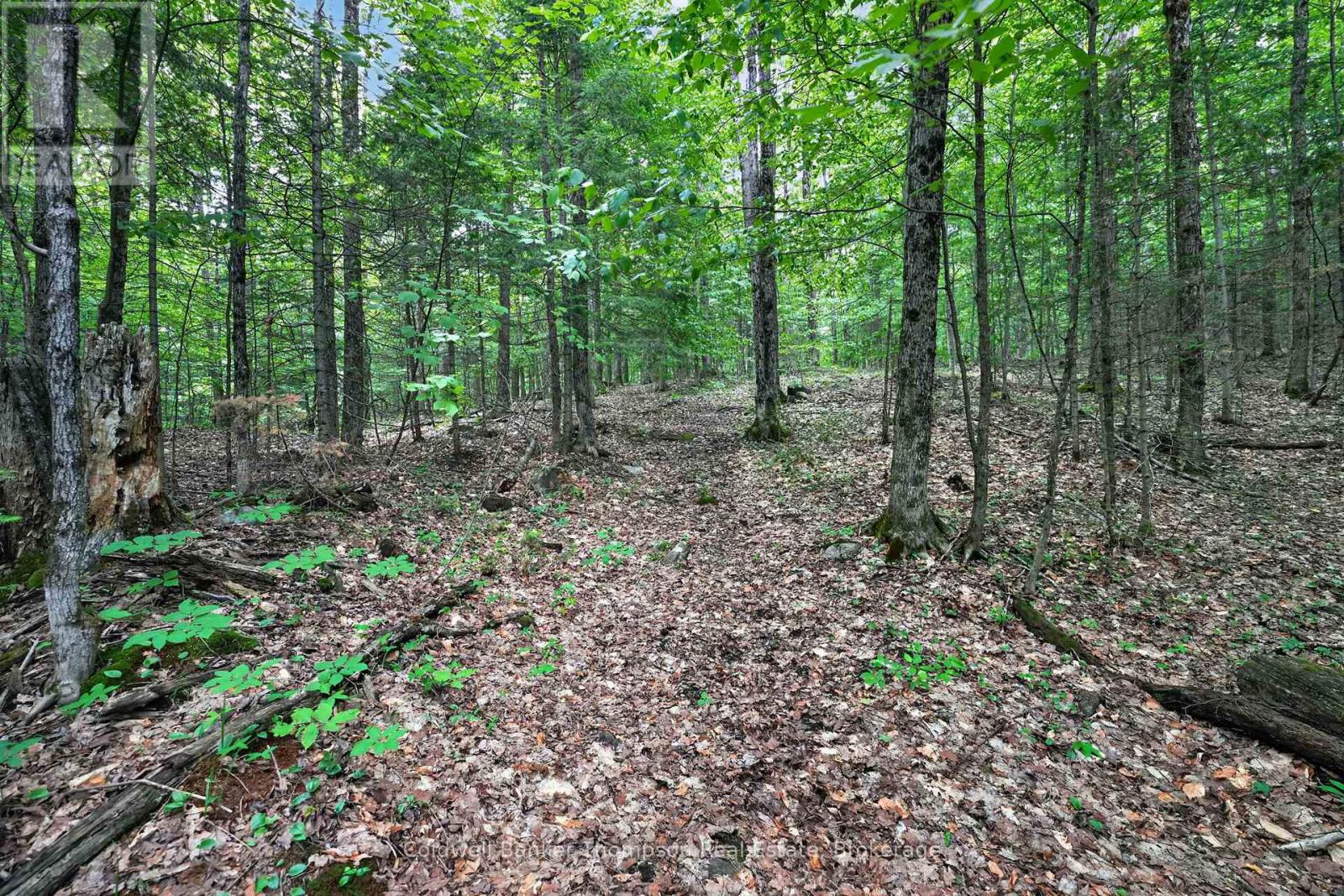 1864 Brunel Road, Huntsville, Ontario  P1H 2J3 - Photo 43 - X13453908