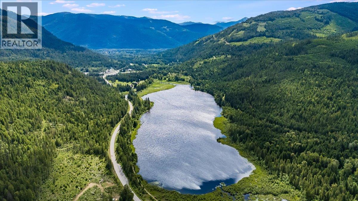 6410 3 Highway, Salmo, British Columbia V0G 1Z0 - Photo 11 - 10391467
