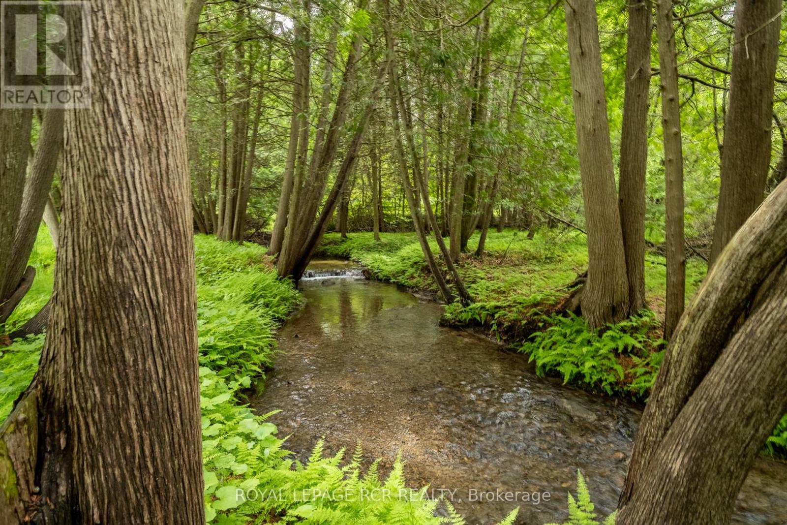 4075 The Grange Side Road, Caledon, Ontario  L7C 0G2 - Photo 40 - W13453964