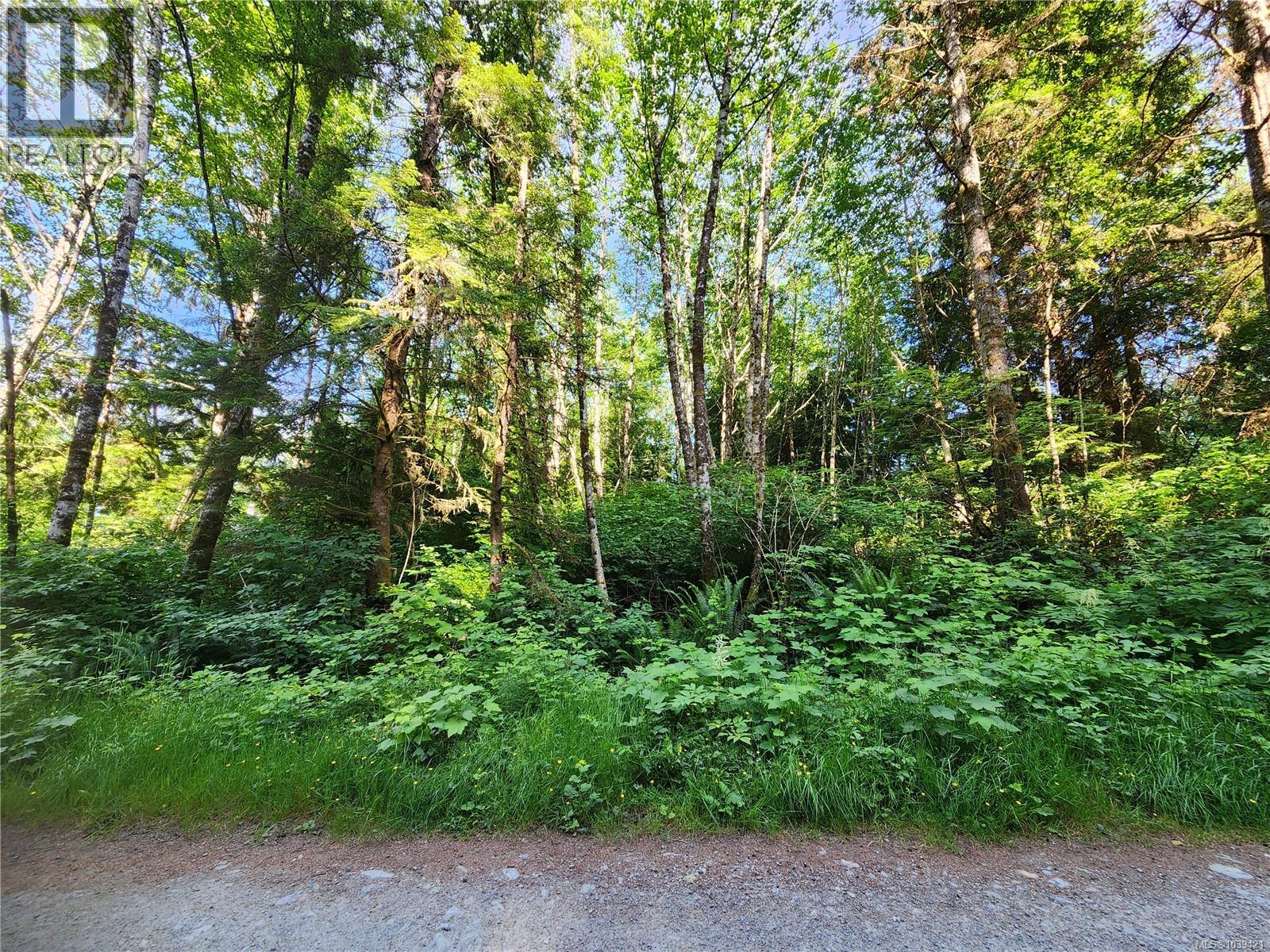 Lot D Cape Beale Trail, Bamfield, British Columbia