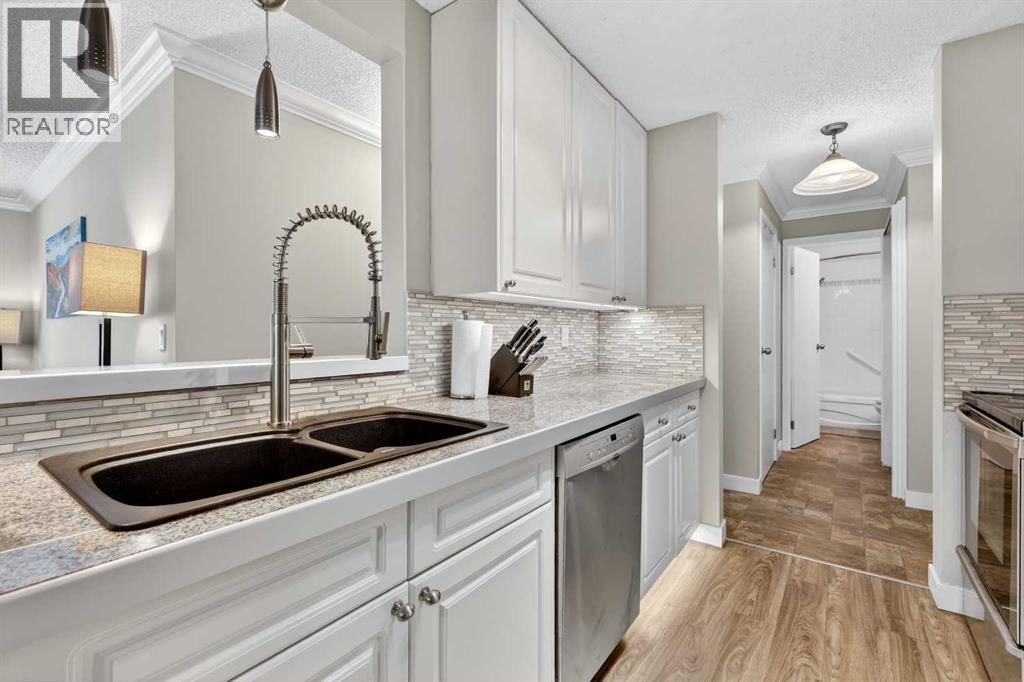 203, 727 56 Avenue Sw, Calgary, Alberta  T2V 4Z8 - Photo 15 - A2318659